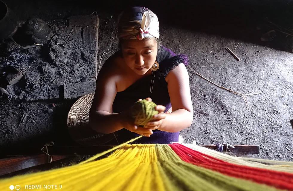 nelly calbulao artesanías araucanía